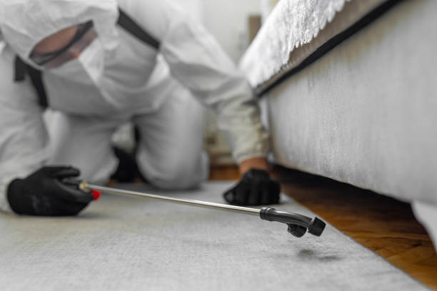 Professional Bed Bug Control technician working in Effingham County County, GA